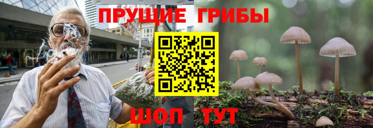 Галлюциногенные грибы GOLDEN TEACHER Карталы
